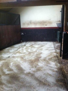 12,5 kg Edasil en 12,5 kg Eifel lava verdelen over de nog natte stalvloer
