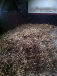 Dag 14 de ecostal ziet er weer netjes uit