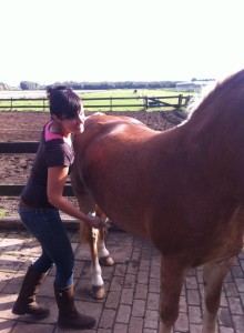 Daisy geniet van Guasha 4