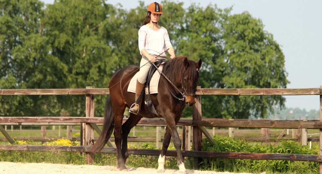 Les met Jaurena bij Júlio Borba