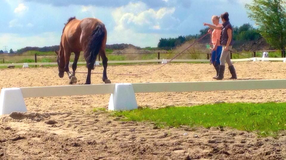 Les in trainen aan de longe longeren