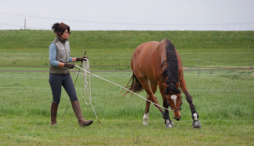 longeren-les-training-instructie